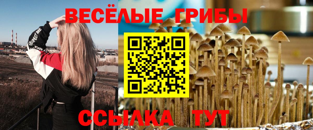 Краснодар  Галлюциногенные грибы ЛСД  Вход с VPN 